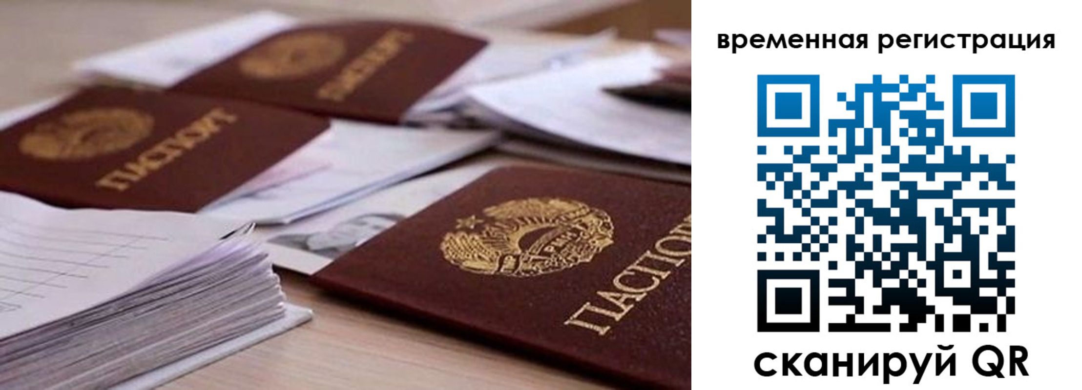 временная регистрация поиск в Ясном